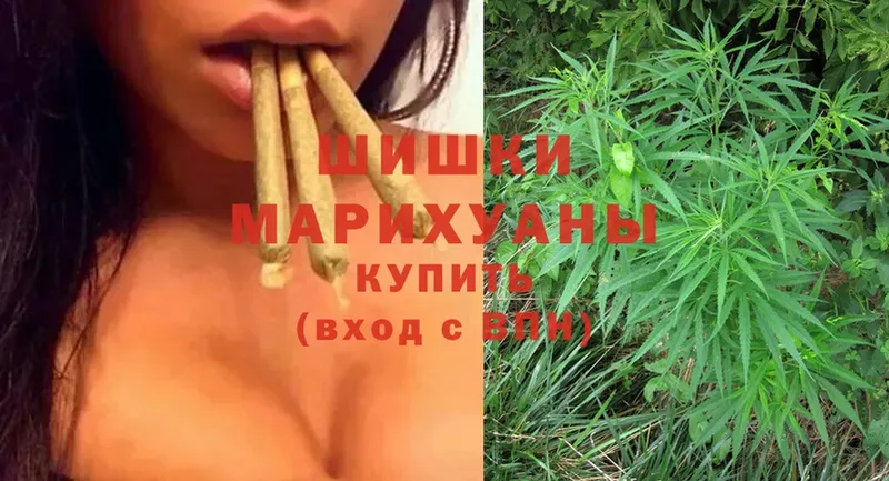 МАРИХУАНА THC 21%  где купить   Поронайск 